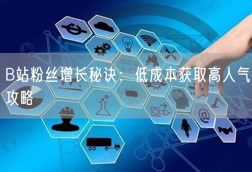 B站粉丝增长秘诀：低成本获取高人气攻略