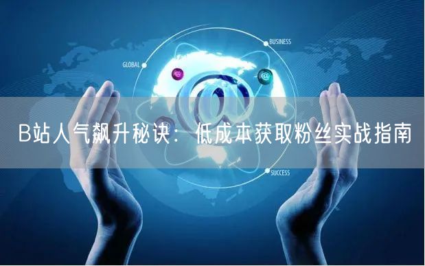 B站人气飙升秘诀：低成本获取粉丝实战指南