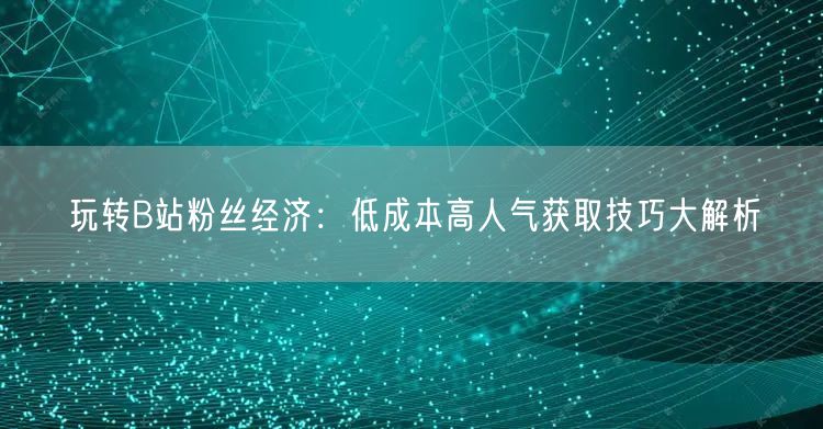玩转B站粉丝经济：低成本高人气获取技巧大解析