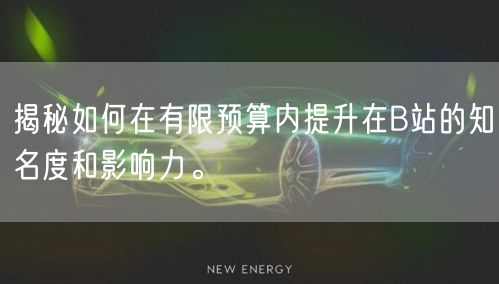 揭秘如何在有限预算内提升在B站的知名度和影响力。