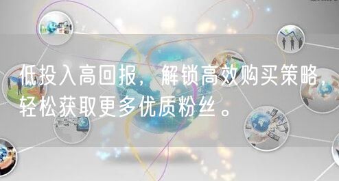 低投入高回报，解锁高效购买策略，轻松获取更多优质粉丝。