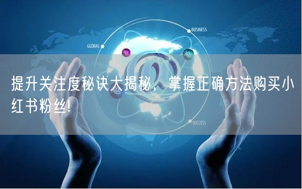 提升关注度秘诀大揭秘，掌握正确方法购买小红书粉丝!