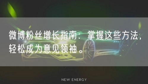 微博粉丝增长指南：掌握这些方法，轻松成为意见领袖。