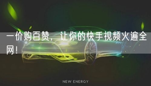 一价购百赞，让你的快手视频火遍全网！