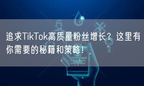 追求TikTok高质量粉丝增长？这里有你需要的秘籍和策略！