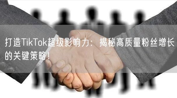 打造TikTok超级影响力：揭秘高质量粉丝增长的关键策略！
