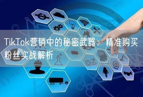 TikTok营销中的秘密武器：精准购买粉丝实战解析