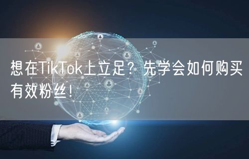 想在TikTok上立足？先学会如何购买有效粉丝！