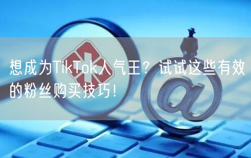 想成为TikTok人气王？试试这些有效的粉丝购买技巧！