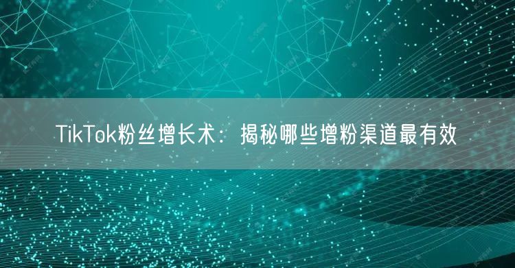 TikTok粉丝增长术：揭秘哪些增粉渠道最有效