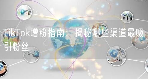 TikTok增粉指南：揭秘哪些渠道最吸引粉丝