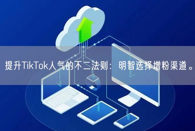 提升TikTok人气的不二法则：明智选择增粉渠道。
