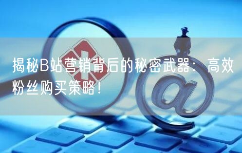 揭秘B站营销背后的秘密武器：高效粉丝购买策略！