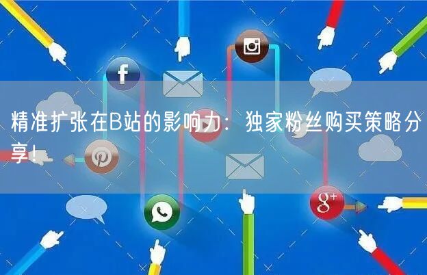 精准扩张在B站的影响力：独家粉丝购买策略分享！