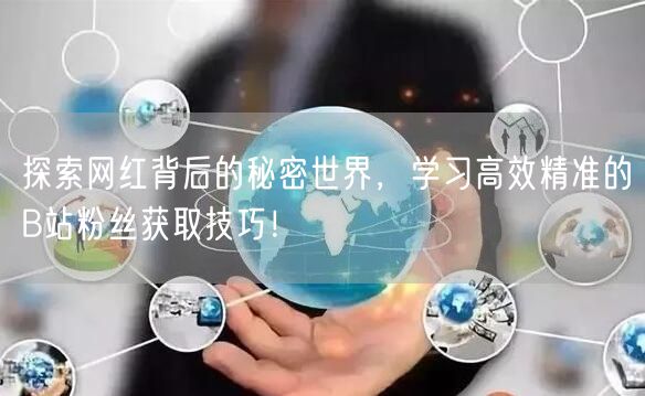 探索网红背后的秘密世界，学习高效精准的B站粉丝获取技巧！
