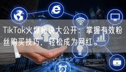 TikTok火爆秘诀大公开：掌握有效粉丝购买技巧，轻松成为网红。