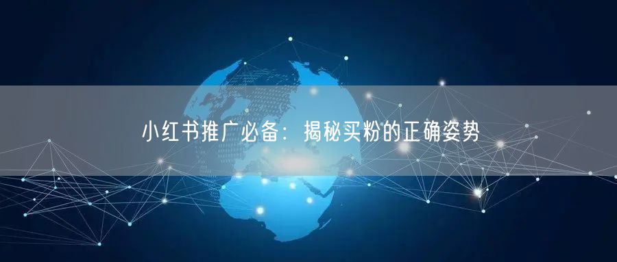 小红书推广必备：揭秘买粉的正确姿势
