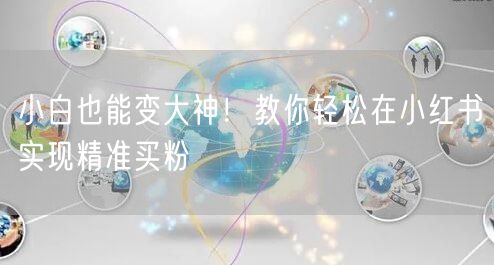 小白也能变大神！教你轻松在小红书实现精准买粉