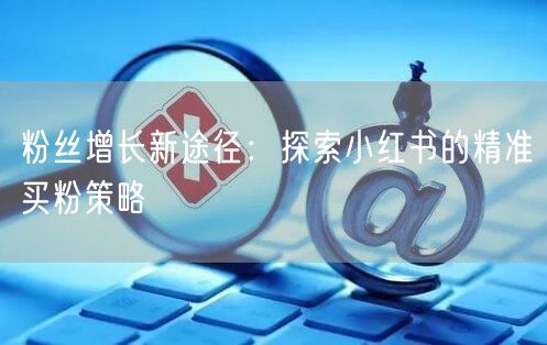 粉丝增长新途径：探索小红书的精准买粉策略