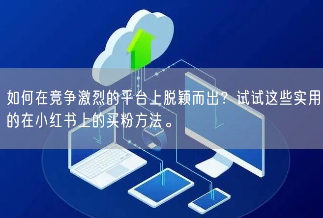 如何在竞争激烈的平台上脱颖而出？试试这些实用的在小红书上的买粉方法。