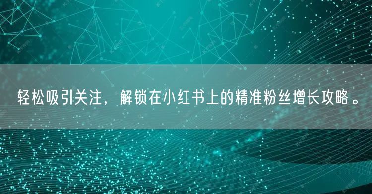 轻松吸引关注，解锁在小红书上的精准粉丝增长攻略。