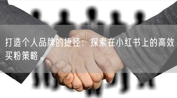 打造个人品牌的捷径：探索在小红书上的高效买粉策略。