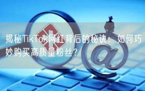 揭秘TikTok网红背后的秘诀：如何巧妙购买高质量粉丝？