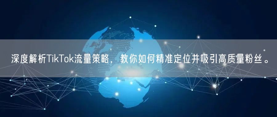 深度解析TikTok流量策略，教你如何精准定位并吸引高质量粉丝。