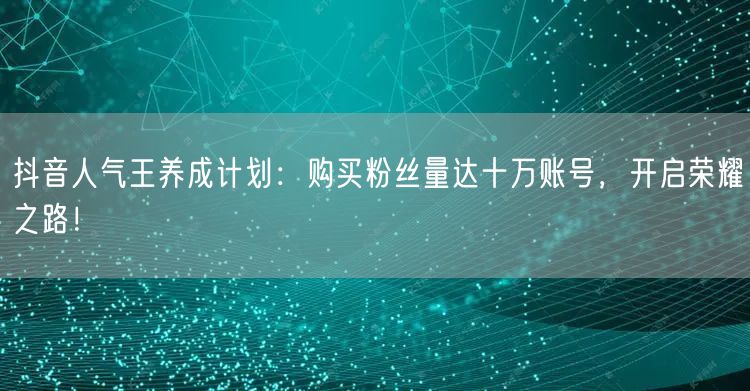 抖音人气王养成计划：购买粉丝量达十万账号，开启荣耀之路！