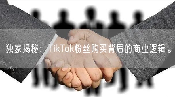 独家揭秘：TikTok粉丝购买背后的商业逻辑。
