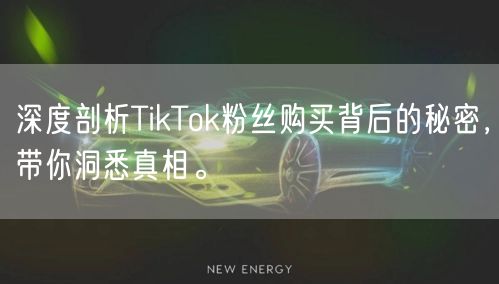 深度剖析TikTok粉丝购买背后的秘密，带你洞悉真相。