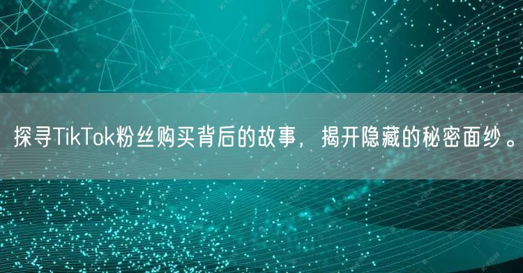 探寻TikTok粉丝购买背后的故事，揭开隐藏的秘密面纱。