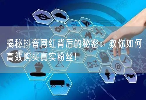 揭秘抖音网红背后的秘密：教你如何高效购买真实粉丝！
