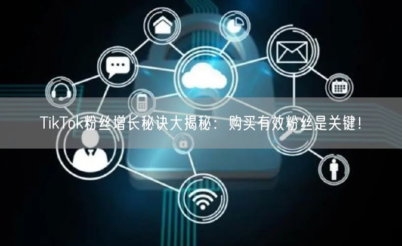 TikTok粉丝增长秘诀大揭秘：购买有效粉丝是关键！