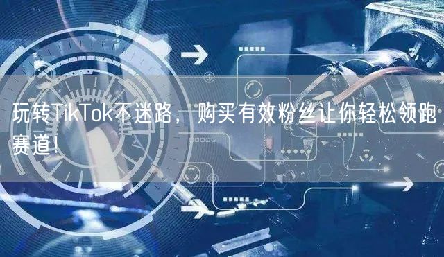 玩转TikTok不迷路，购买有效粉丝让你轻松领跑赛道！