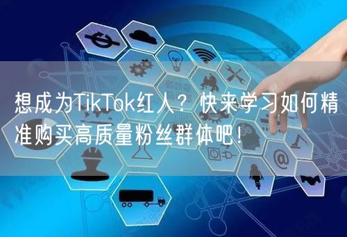 想成为TikTok红人？快来学习如何精准购买高质量粉丝群体吧！
