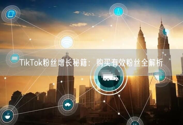 TikTok粉丝增长秘籍：购买有效粉丝全解析