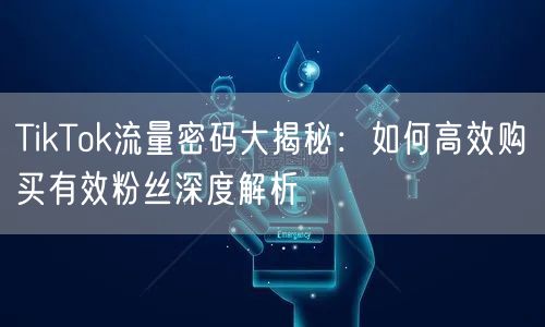 TikTok流量密码大揭秘：如何高效购买有效粉丝深度解析