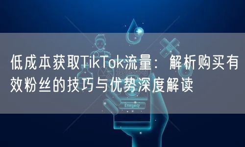 低成本获取TikTok流量：解析购买有效粉丝的技巧与优势深度解读