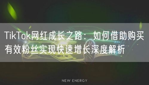 TikTok网红成长之路：如何借助购买有效粉丝实现快速增长深度解析