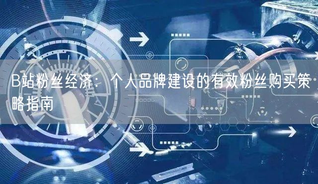 B站粉丝经济：个人品牌建设的有效粉丝购买策略指南
