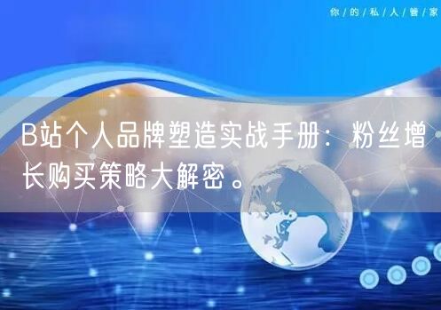 B站个人品牌塑造实战手册：粉丝增长购买策略大解密。