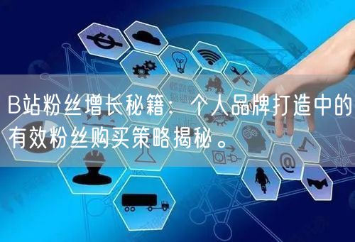 B站粉丝增长秘籍：个人品牌打造中的有效粉丝购买策略揭秘。