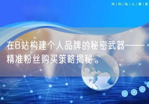 在B站构建个人品牌的秘密武器——精准粉丝购买策略揭秘。