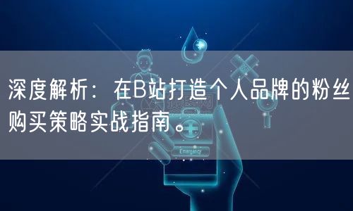 深度解析：在B站打造个人品牌的粉丝购买策略实战指南。