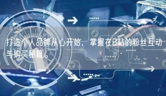 打造个人品牌从心开始，掌握在B站的粉丝互动与购买秘籍。