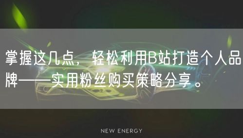 掌握这几点，轻松利用B站打造个人品牌——实用粉丝购买策略分享。