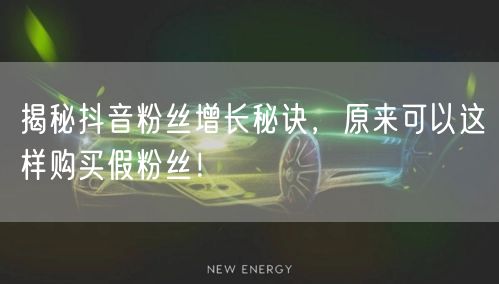 揭秘抖音粉丝增长秘诀，原来可以这样购买假粉丝！
