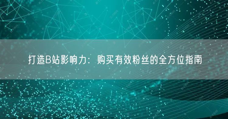 打造B站影响力：购买有效粉丝的全方位指南