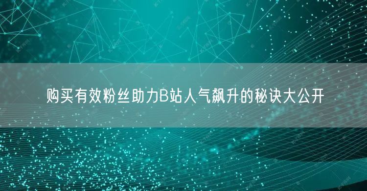 购买有效粉丝助力B站人气飙升的秘诀大公开